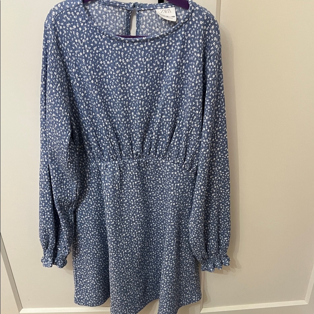 Zara Blue and White Kids Dress